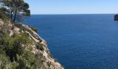 Excursión Senderismo Marsella - Calanques Marseille - Domaine de Luminy - Photo 2