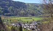 Trail Walking Chambon-sur-Lac - BOUCLE AUTOUR DE LA COUZE DE SURAINS - Photo 6