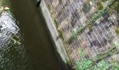 Tocht Stappen Champagney - Canal souterrain de la Haute-Saône - Photo 15