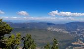 Tocht Stappen Aillon-le-Vieux - BAUGES: DENT DE ROSSANAZ - Photo 4