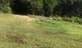 Trail Trail Sainte-Anne - Fond grand ma - Photo 1