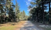 Randonnée Marche Bonnieux - PF-Bonnieux - Massif des Cèdres - Roque des Bancs - Les Portalas - AT - Photo 18