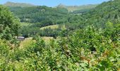 Randonnée Marche Le Falgoux - Franconèche- Gr400-chemin des Italiens bis - Photo 4