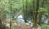 Tour Wandern Mouthier-Haute-Pierre - gorges de noailles  - Photo 17