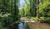 Tour Wandern Chimay - rando lompret 26-05-2023 - Photo 8