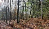 Trail Walking Sprimont - 15km Banneux Nov 2022 - Photo 8