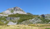 Randonnée Marche Aydius - pic mailh massibe et pic montagnon - Photo 1