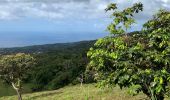 Tocht Trail Saint-Claude - Beausoleil la boucle  - Photo 4