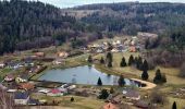 Tour Wandern Walscheid - 2022-03-13 09:09 - Photo 3