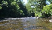 Excursión Senderismo Bromont-Lamothe - Le piège à con  - Photo 1