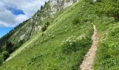 Randonnée Marche Saint-Pierre-de-Chartreuse - Col des Aures 8 km - Photo 1