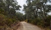 Trail Walking Le Perthus - palissades.  la carboniere . fort de bellegrade . panissars - Photo 16