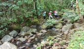 Tocht Stappen Petit-Bourg - boucle tambour riviere au canard - Photo 8