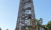 Tour Zu Fuß Großkirchen - Z+ ( Nagykanizsa-Csónakázó Tó ) - Photo 10