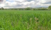 Percorso Marcia Torigny-les-Villes - Boucle depuis le Val de Vire - Photo 9