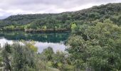 Tour Wandern Montagnac-Montpezat - Montpezat - Gorges de Baudinard - Photo 11