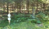 Trail Walking Trois-Ponts - logbierme 060824 - Photo 5