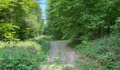 Randonnée Marche Noroy-sur-Ourcq - en Forêt de Retz_93_05_2022_le Bois de Cresnes - Photo 9