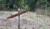 Trail Walking Crots - Boscodon  - Photo 10