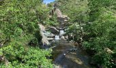 Trail Walking Minerve - Gorges de Minerve  - Photo 9