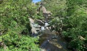 Tour Wandern Minerve - Gorges de Minerve  - Photo 9