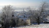 Tour Zu Fuß Stettfurt - Schloss Sonnenberg - Lommis - Thürn - Photo 6