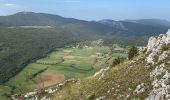 Tocht Stappen Saint-Agnan-en-Vercors - Rocher du mas (vercors) - Photo 20