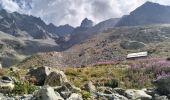 Percorso Marcia Vallouise-Pelvoux - 05-pre-Mme-Carle-refuge-glacier-blanc-10km690m - Photo 5