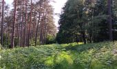 Trail Walking Theux - autour du Maquisart - Photo 3
