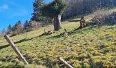 Trail Walking Soultzmatt - Rando Marcheurs ..20/03/2025.. - Photo 8