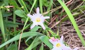 Trail Walking Anthisnes - qwadrifyon entre la rock, sparmont et bloquay - Photo 9