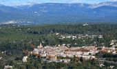 Tour Wandern Bagnols-en-Forêt - Parking sur D47 - La Forteresse - Col de la Pierre à Coucou - Gorges du Blavet  - Photo 12