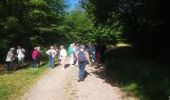 Trail Walking Renauvoid - marche - Photo 15