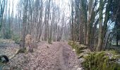 Tocht Stappen Besançon - Forêt de CHAILLUZ - Photo 1