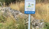 Excursión Senderismo Le Buisson - Randonnée du moulinet  - Photo 6