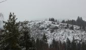 Tour Zu Fuß Bad Steben - Geotop-Weg US 43 - Photo 5