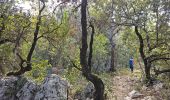 Tour Wandern Signes - Signes - L'éléphant de pierre - Photo 18