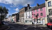 Percorso A piedi Claremorris-Swinford Municipal District - Slieve Cairn Foothills - Photo 5