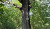 Trail Walking Poigny-la-Forêt - Poigny sud - Photo 2