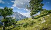 Trail Walking Vivario - Punta dell ORIENTE - Photo 11