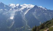Trail Walking Les Houches - Le Merlet,Bellachat,aigulkette des Houches retour par chalets Chailloux - Photo 12