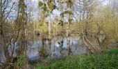 Tocht Stappen Blaison-Saint-Sulpice - Autour de Gohier - Photo 1