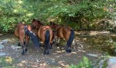 Trail Walking Sare - Lizarieta descente par palombieres  - Photo 2