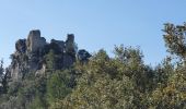 Tour Wandern Vins-sur-Caramy - vins 30 mars 2021 - Photo 10