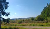 Trail Walking Waimes - autour de botrange et du bois de sourbrodt - Photo 14