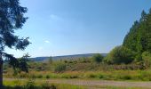 Tour Wandern Weismes - autour de botrange et du bois de sourbrodt - Photo 14