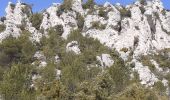 Percorso Marcia La Roquebrussanne - Source des Orris rochers menhirs (83) - Photo 8