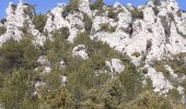 Randonnée Marche La Roquebrussanne - Source des Orris rochers menhirs (83) - Photo 8