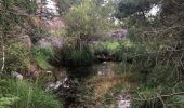 Trail Walking Fontainebleau - Apremont  - Photo 3