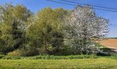 Trail Walking Vesly - Vesly côte de Guerny Gisancourt et le chêne, ferme de Nainville - Photo 19